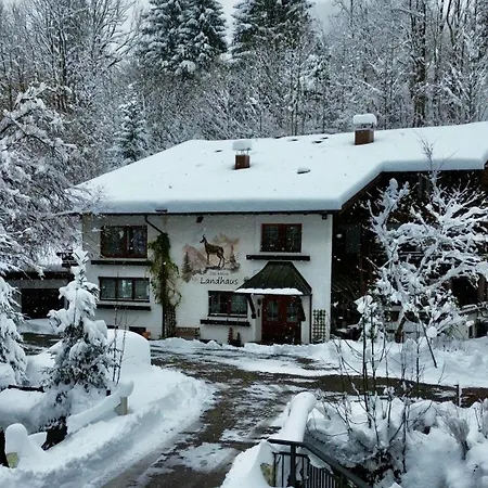 Goofy - Ihr Allgaeu-auszeit Mit Hund Apartmán *
